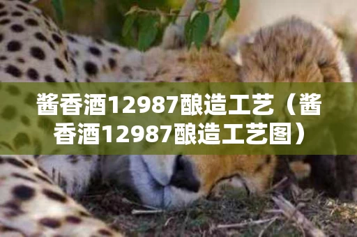 酱香酒12987酿造工艺（酱香酒12987酿造工艺图）