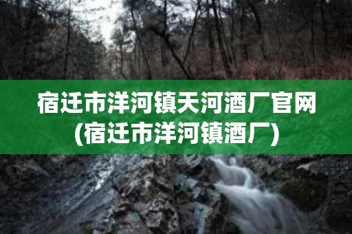 宿迁市洋河镇天河酒厂官网(宿迁市洋河镇酒厂)