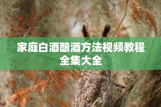 家庭白酒酿酒方法视频教程全集大全