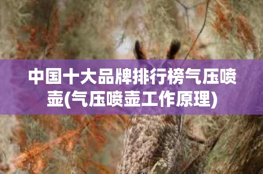 中国十大品牌排行榜气压喷壶(气压喷壶工作原理)