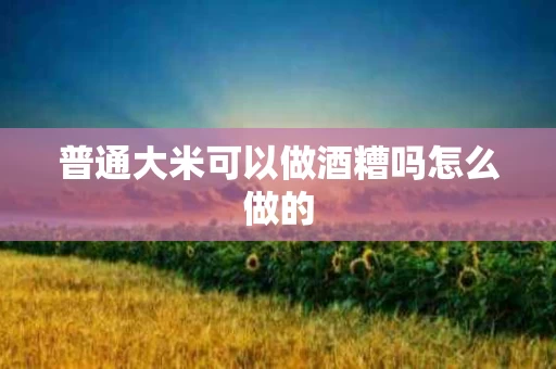 普通大米可以做酒糟吗怎么做的