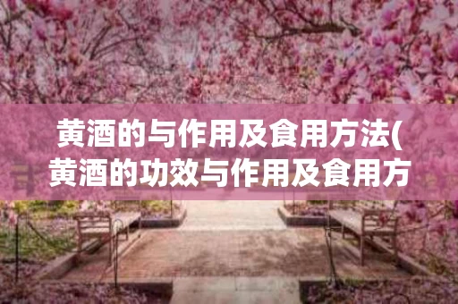 黄酒的与作用及食用方法(黄酒的功效与作用及食用方法)