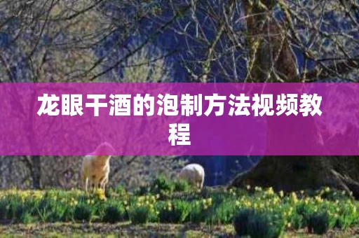 龙眼干酒的泡制方法视频教程