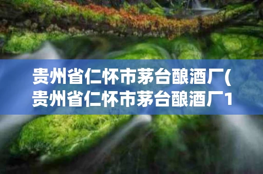贵州省仁怀市茅台酿酒厂(贵州省仁怀市茅台酿酒厂1915酒)