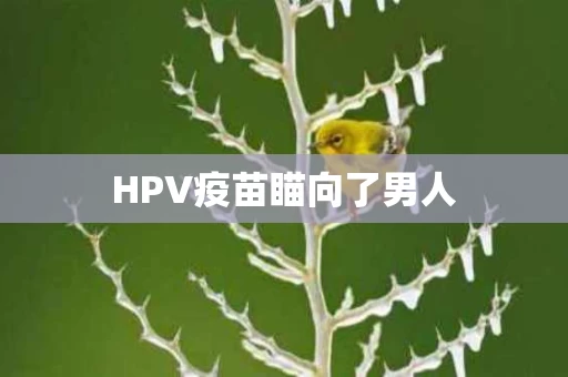 HPV疫苗瞄向了男人