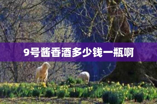 9号酱香酒多少钱一瓶啊