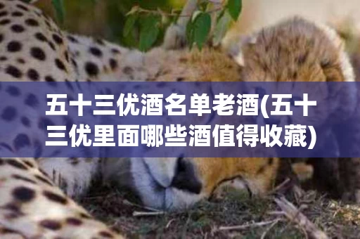 五十三优酒名单老酒(五十三优里面哪些酒值得收藏)