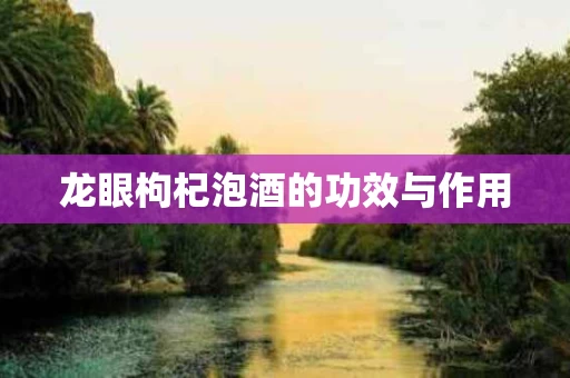 龙眼枸杞泡酒的功效与作用 龙眼枸杞泡酒的功效与作用
