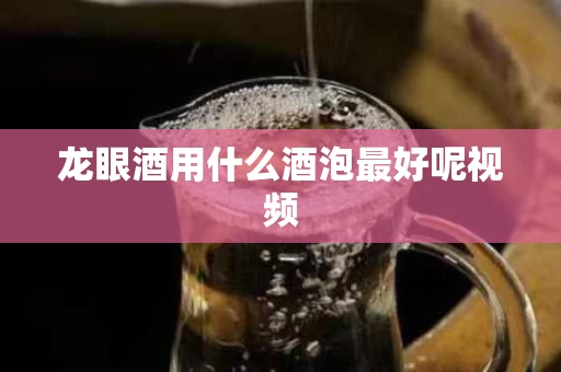 龙眼酒用什么酒泡最好呢视频