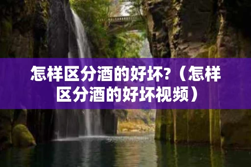 怎样区分酒的好坏?（怎样区分酒的好坏视频）