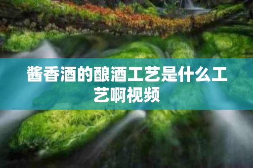 酱香酒的酿酒工艺是什么工艺啊视频