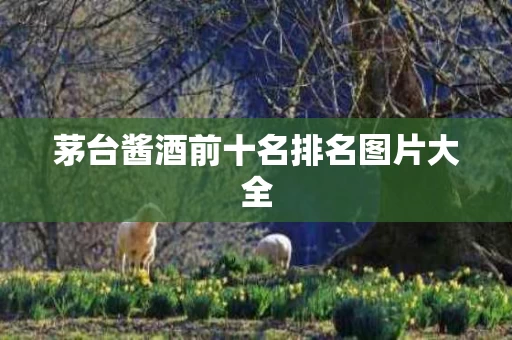 茅台酱酒前十名排名图片大全 茅台酱酒前十名排名图片大全