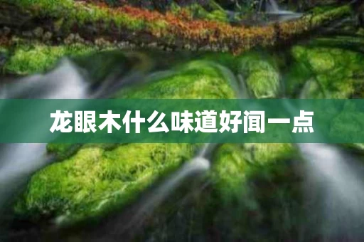龙眼木什么味道好闻一点
