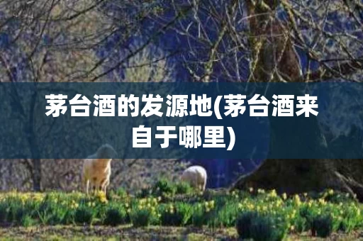 茅台酒的发源地(茅台酒来自于哪里)