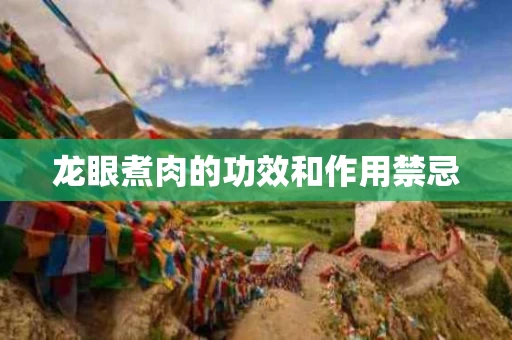 龙眼煮肉的功效和作用禁忌