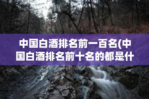 中国白酒排名前一百名(中国白酒排名前十名的都是什么酒?)