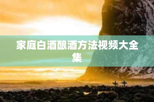 家庭白酒酿酒方法视频大全集