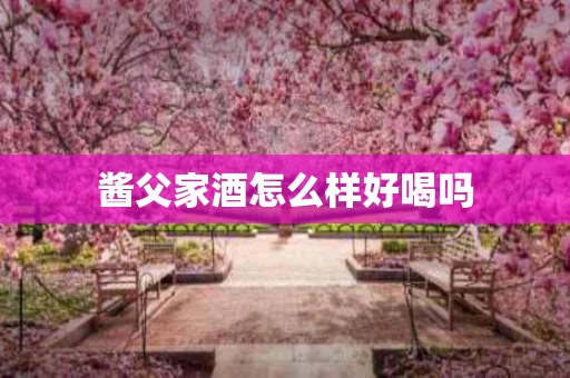 酱父家酒怎么样好喝吗
