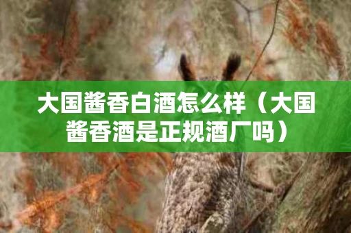 大国酱香白酒怎么样（大国酱香酒是正规酒厂吗）
