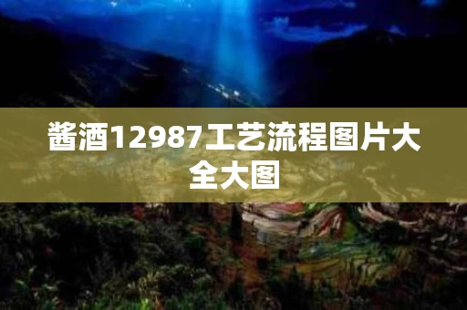 酱酒12987工艺流程图片大全大图