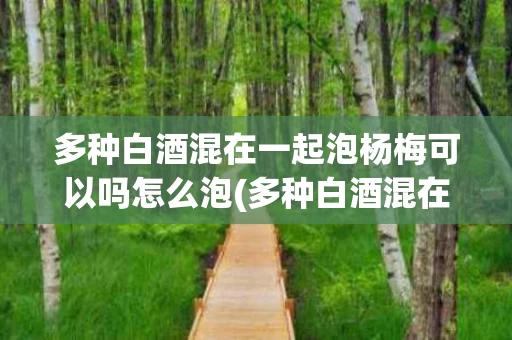 多种白酒混在一起泡杨梅可以吗怎么泡(多种白酒混在一起泡杨梅可以吗怎么泡好喝)