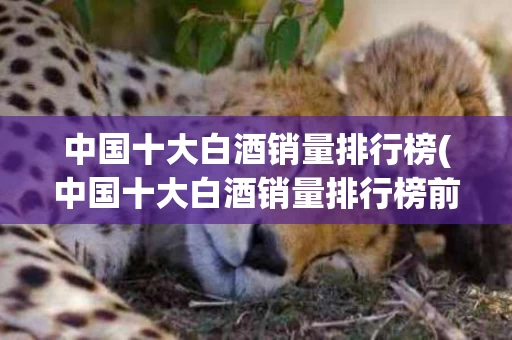 中国十大白酒销量排行榜(中国十大白酒销量排行榜前十名)