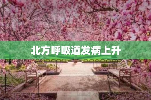 北方呼吸道发病上升