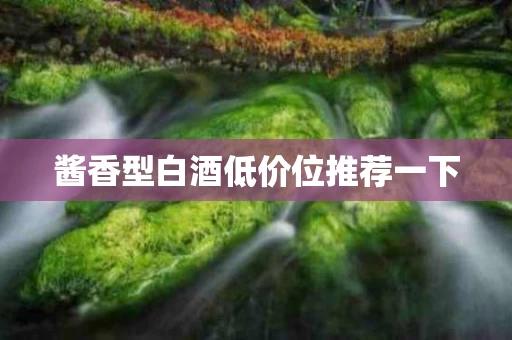 酱香型白酒低价位推荐一下
