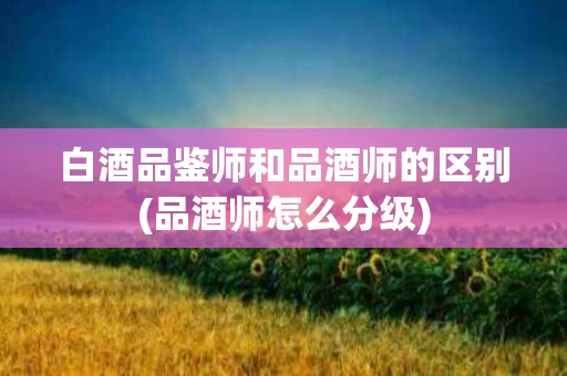 白酒品鉴师和品酒师的区别(品酒师怎么分级)