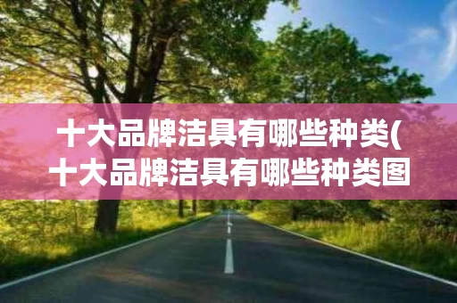 十大品牌洁具有哪些种类(十大品牌洁具有哪些种类图片)