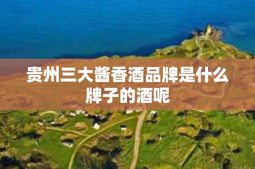 贵州三大酱香酒品牌是什么牌子的酒呢