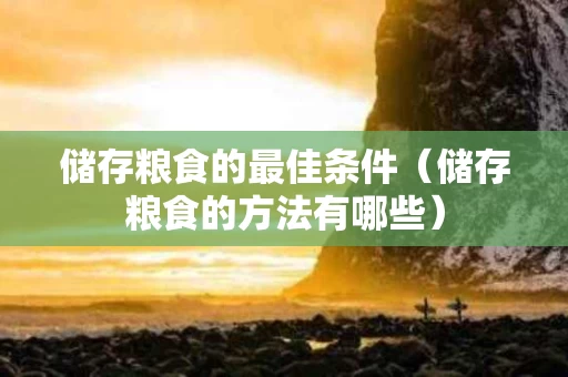 储存粮食的最佳条件（储存粮食的方法有哪些）
