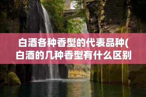白酒各种香型的代表品种(白酒的几种香型有什么区别)