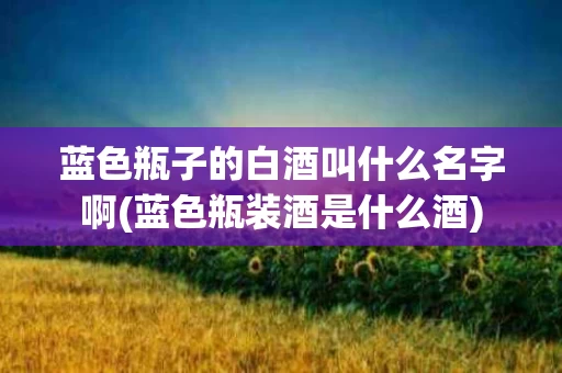 蓝色瓶子的白酒叫什么名字啊(蓝色瓶装酒是什么酒)