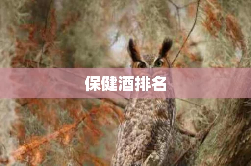保健酒排名