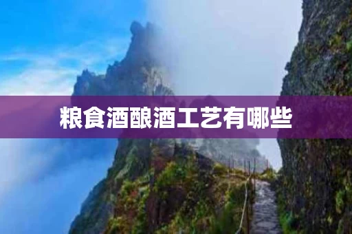 粮食酒酿酒工艺有哪些