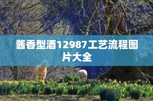 酱香型酒12987工艺流程图片大全