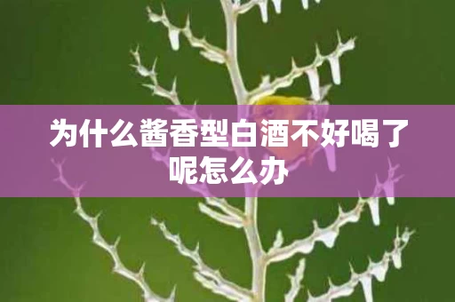 为什么酱香型白酒不好喝了呢怎么办