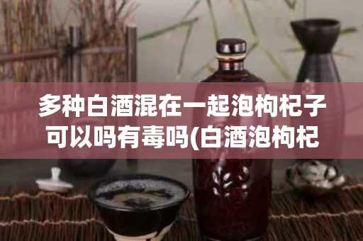 多种白酒混在一起泡枸杞子可以吗有毒吗(白酒泡枸杞还可以和什么搭配)