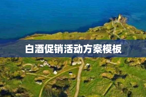 白酒促销活动方案模板
