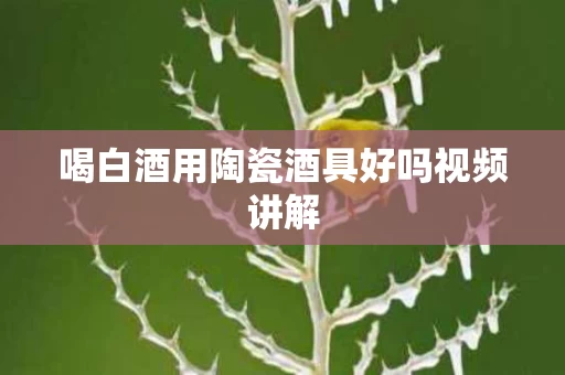 喝白酒用陶瓷酒具好吗视频讲解