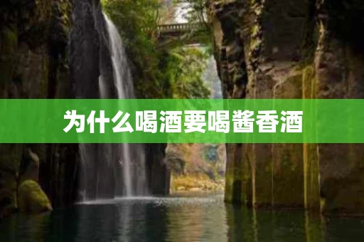 为什么喝酒要喝酱香酒