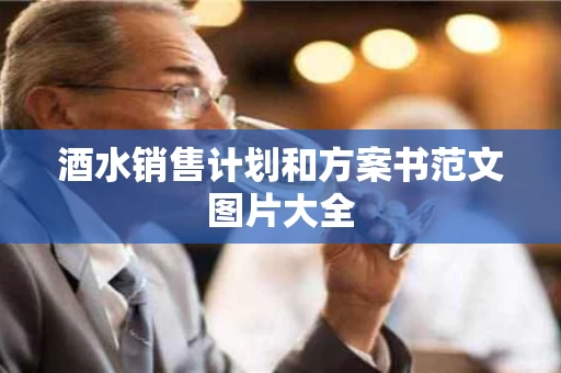 酒水销售计划和方案书范文图片大全