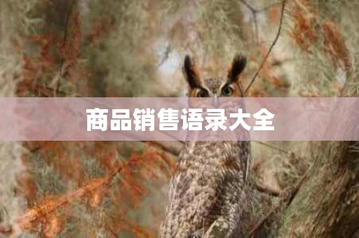 商品销售语录大全