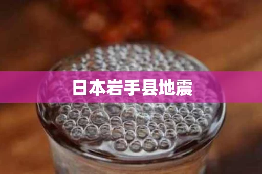 日本岩手县地震