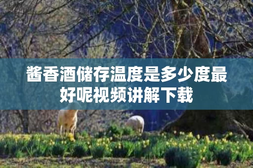 酱香酒储存温度是多少度最好呢视频讲解下载