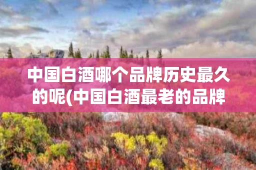 中国白酒哪个品牌历史最久的呢(中国白酒最老的品牌)