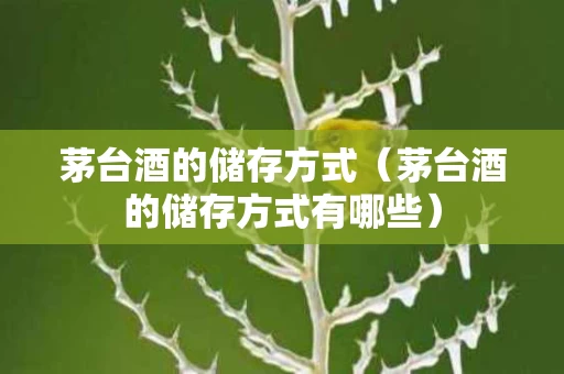 茅台酒的储存方式（茅台酒的储存方式有哪些）