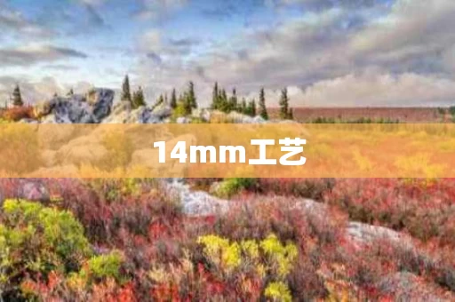 14mm工艺