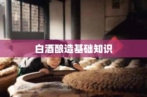 白酒酿造基础知识